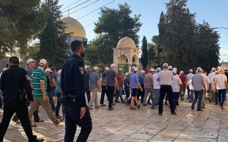 عشرات المستوطنين يقتحمون المسجد “الأقصى” بحماية من القوات الإسرائيلية . الجمال نيوز