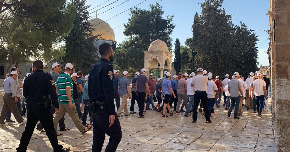 عشرات المستوطنين يقتحمون المسجد الأقصى ويؤدون طقوسًا تلمودية . الجمال نيوز