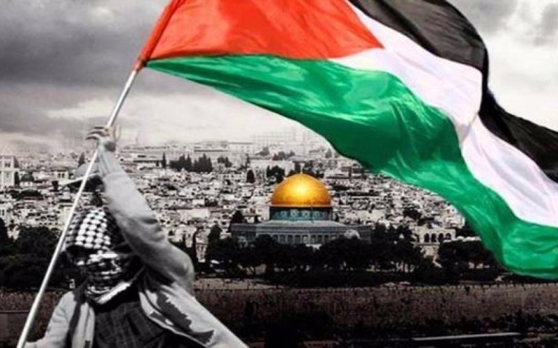 العفو الدولية: منع رفع علم فلسطين محاولة لطمس هوية شعب ومخالفة لمواثيق الأمم المتحدة . الجمال نيوز