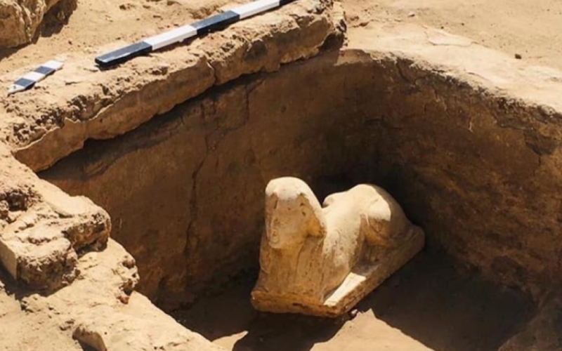 الآثار المصرية: العثور على تمثال جديد لـ”أبو الهول” جنوبي البلاد . الجمال نيوز