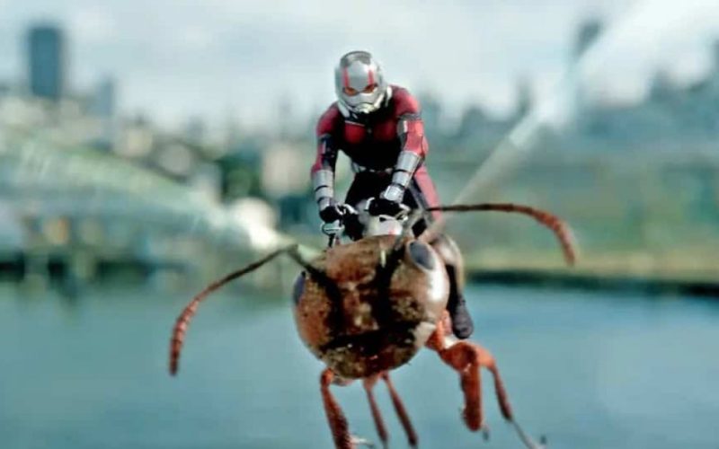 مشاهدة فيلم الرجل النملة والدبورة Ant-Man and the Wasp Quantumania الجزء الثالث مترجم وكامل HD على ايجي بست egybest . الجمال نيوز