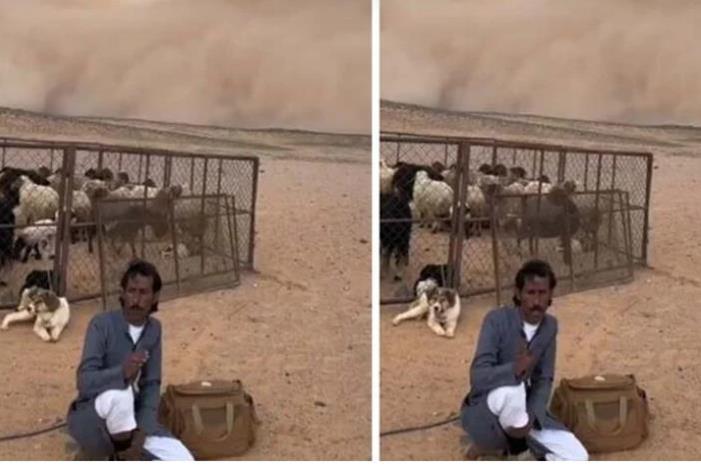 سعودي يوثق لحظة قدوم عاصفة ترابية في بث مباشر.. فيديو