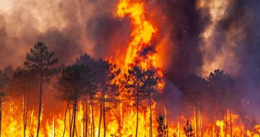 أخبار سياسية – إسبانيا تسجل 15 حريقا كبيرا فى الغابات قضت على 5000 هكتار خلال 6 أشهر