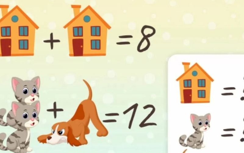 لغز لاختبار معدل الذكاء.. هل يمكنك العثور على قيمة القط والكلب والمنزل في 15 ثانية؟ – الجمال نيوز