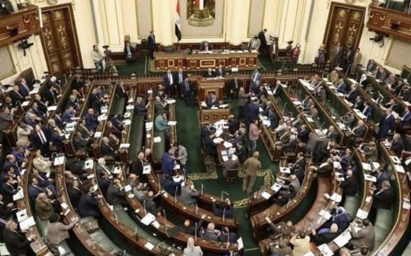 مصر ترفض قرار البرلمان الأوروبي عن حالة حقوق الإنسان: لا يتسم بالمصداقية . الجمال نيوز