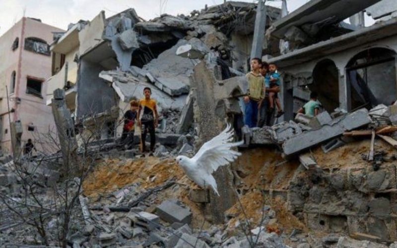 الجيش الإسرائيلي عن احتلال غزة: لدينا كل التصورات النهائية . الجمال نيوز