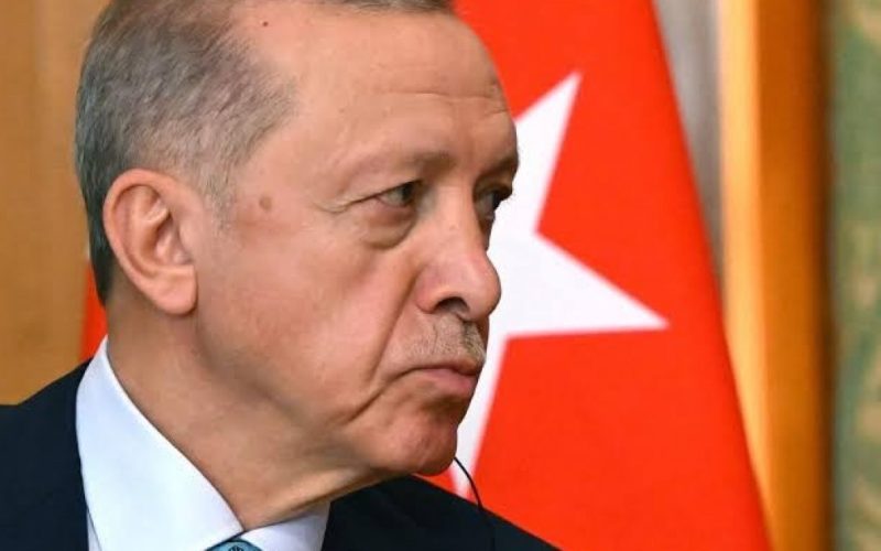تقارير تركية: أردوغان يتباحث مع حمـــــاس بشأن الأسرى الإسرائيليين . الجمال نيوز