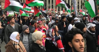 أخبار سياسية – ألمانيا تعتقل 174 شخصًا شاركوا فى تظاهرات مؤيدة لفلسطين