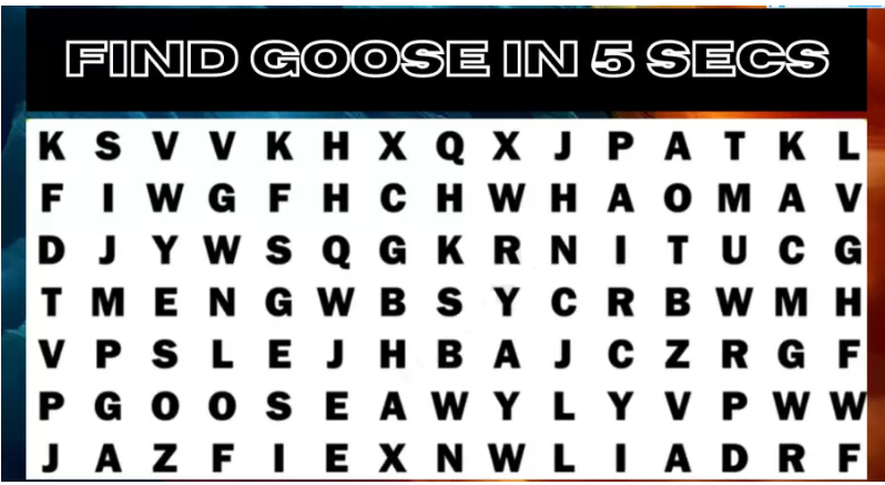 لمحبي استخدام تقنية 4K Vision … ابحث عن كلمة Goose في 5 ثوانٍ فقط – الجمال نيوز