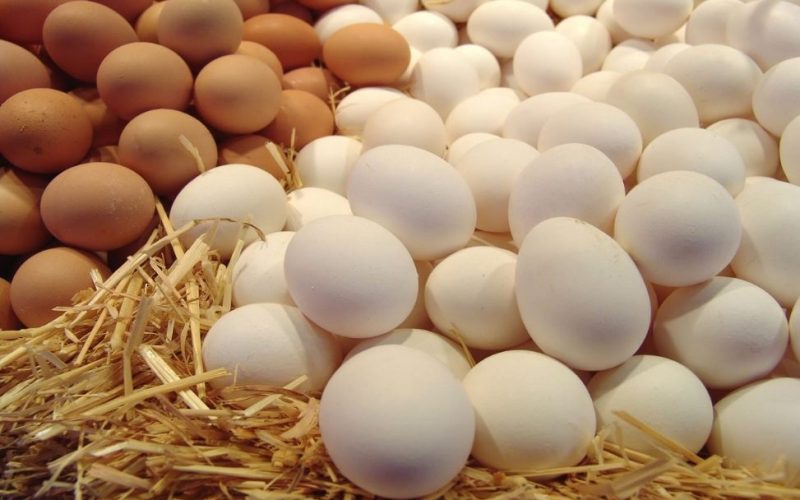 أسعار البيض في مصر بعد تقليص الأسعار – الجمال نيوز