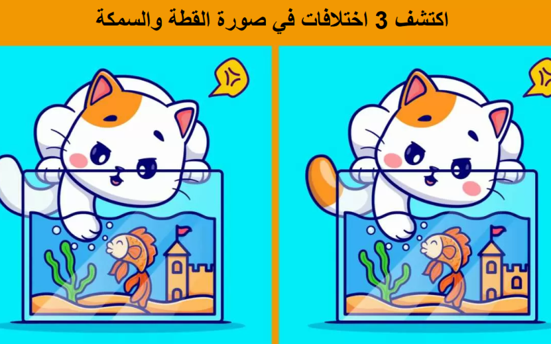 لغز بصري.. حاول اكتشاف 3 اختلافات في صورة القطة والسمكة خلال 7 ثواني فقط – الجمال نيوز
